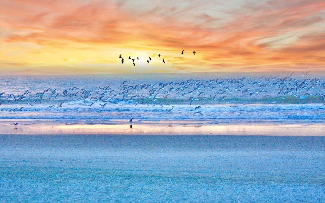 Fun-Filled Adventures: Top Things to Do in Myrtle Beach With Kids