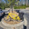 Sun 20" (Tall) Boardwalk Cruiser Yellow