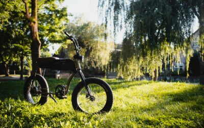 The Ultimate Guide to The Folding Electric Bike for Urban Dwellers and Outdoor Enthusiasts