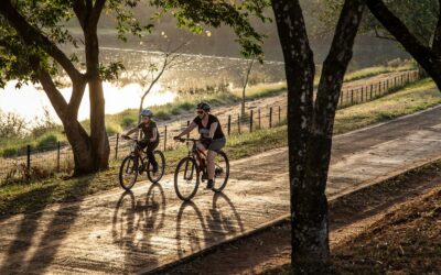What Size Bike Do I Need? A Simple Guide to Finding Your Perfect Fit