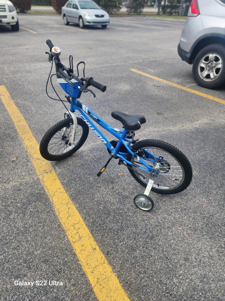 schwinn-5-768x1024.jpg