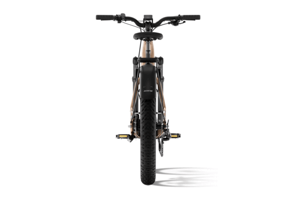 Aventon * Aventure 3 Step Through Ebike Large / Java - Image 2