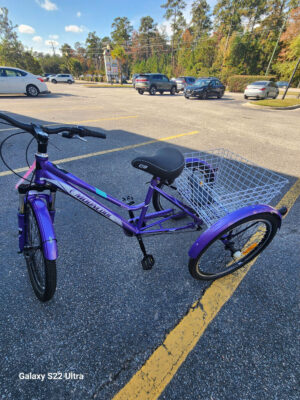 Mooncool Purple Trike - Consignment