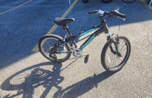 Consignment Duel 20" Bianchi Boys Reference #20278