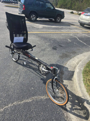 Consingment Linear Recumbent