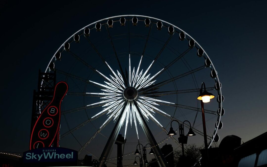 Wondering What To Do In Myrtle Beach?