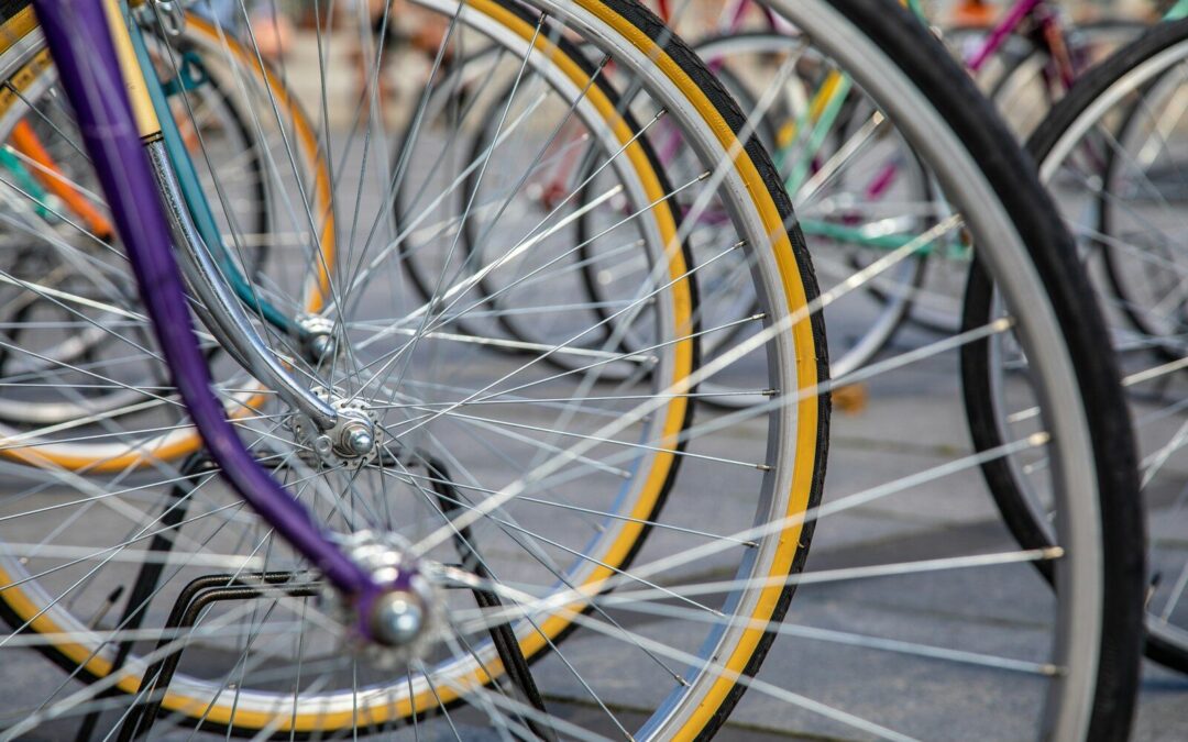 The Ultimate Bike Size Chart Guide for Every Rider