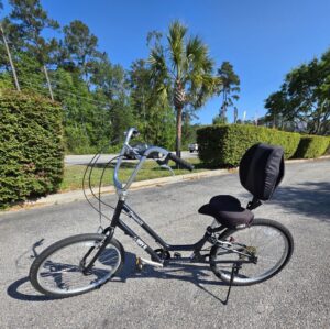 Day 6 Dream 8 Small Black