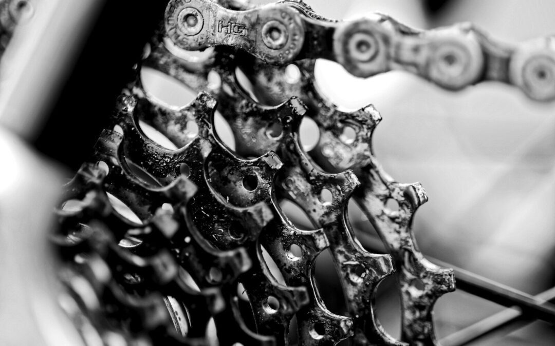 Discover the Joy of Cycling at Myrtle Beach Bicycles Bike Shop