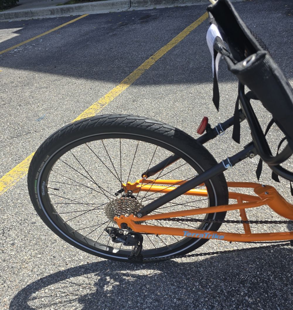 Consignment Gran Tourismo x18 (Sp. Edition) Mango - Image 5