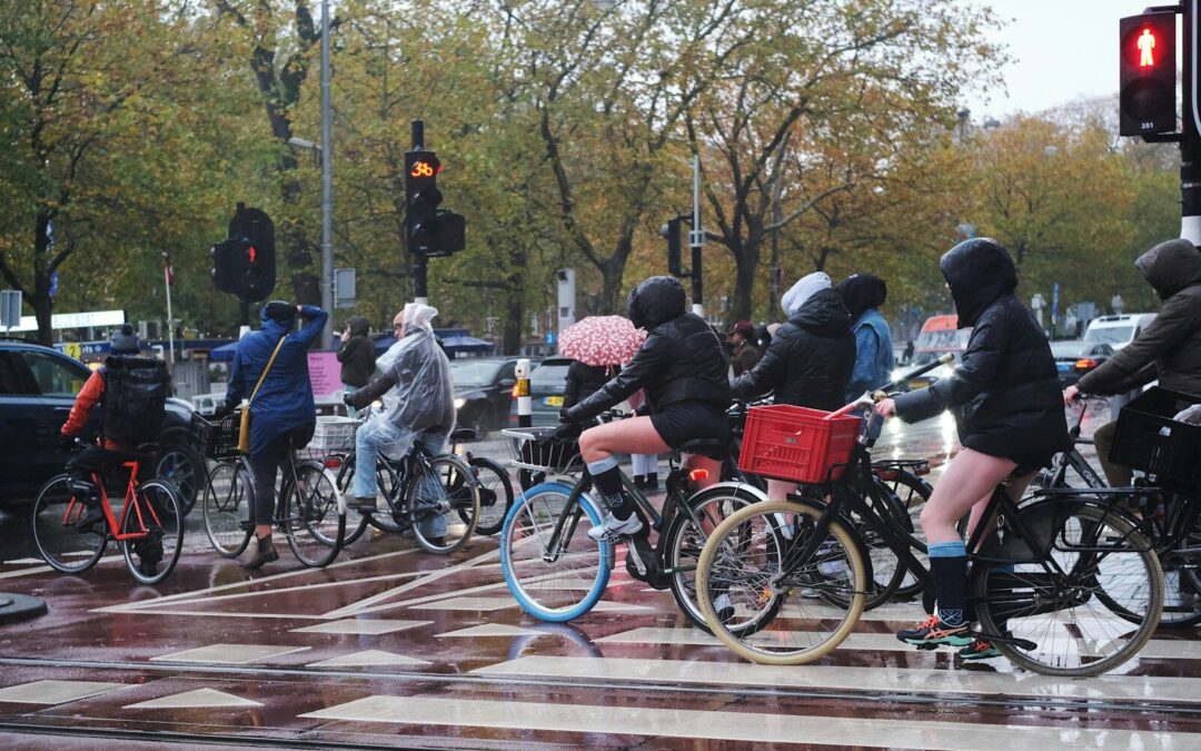 The Ultimate Guide to Choosing the Right Bike Sizes for Every Rider