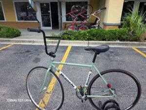 Consignment Bianchi Pista/ Sage