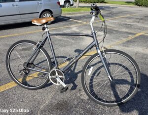 Bianchi Torino Gray